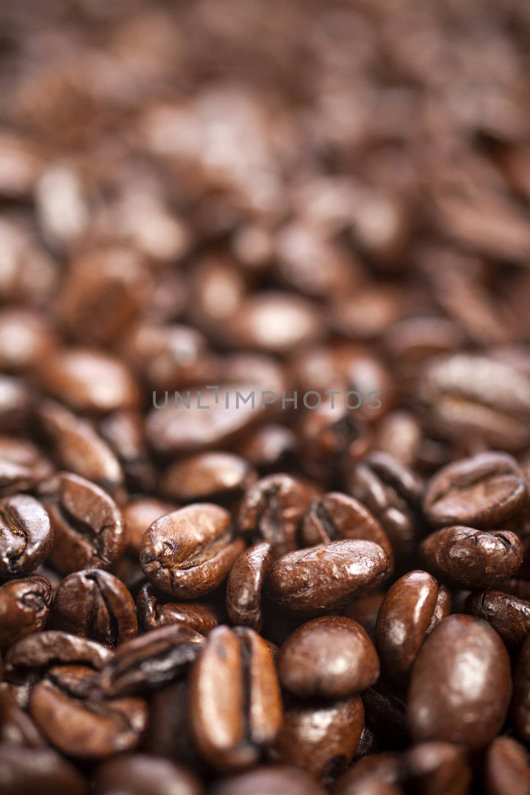 Fresh coffee beans before being ground