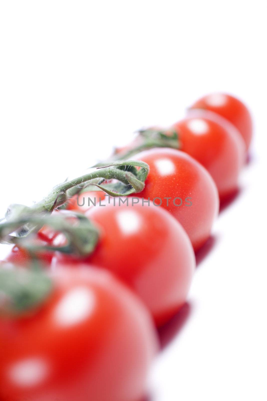 Fresh ripe tomatoes on the vine isolated on white background