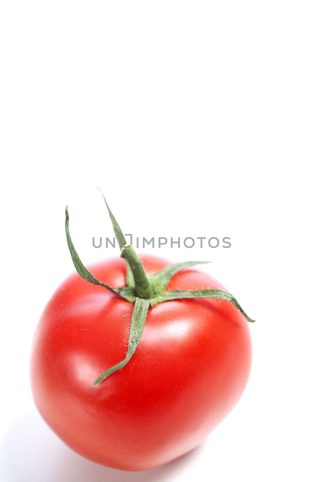 Fresh ripe tomato on isolated background