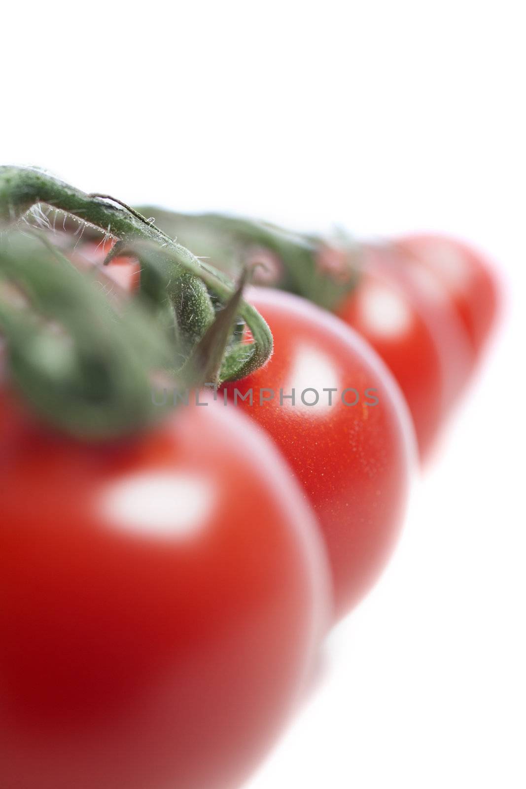 Fresh ripe tomatoes on the vine isolated on white background