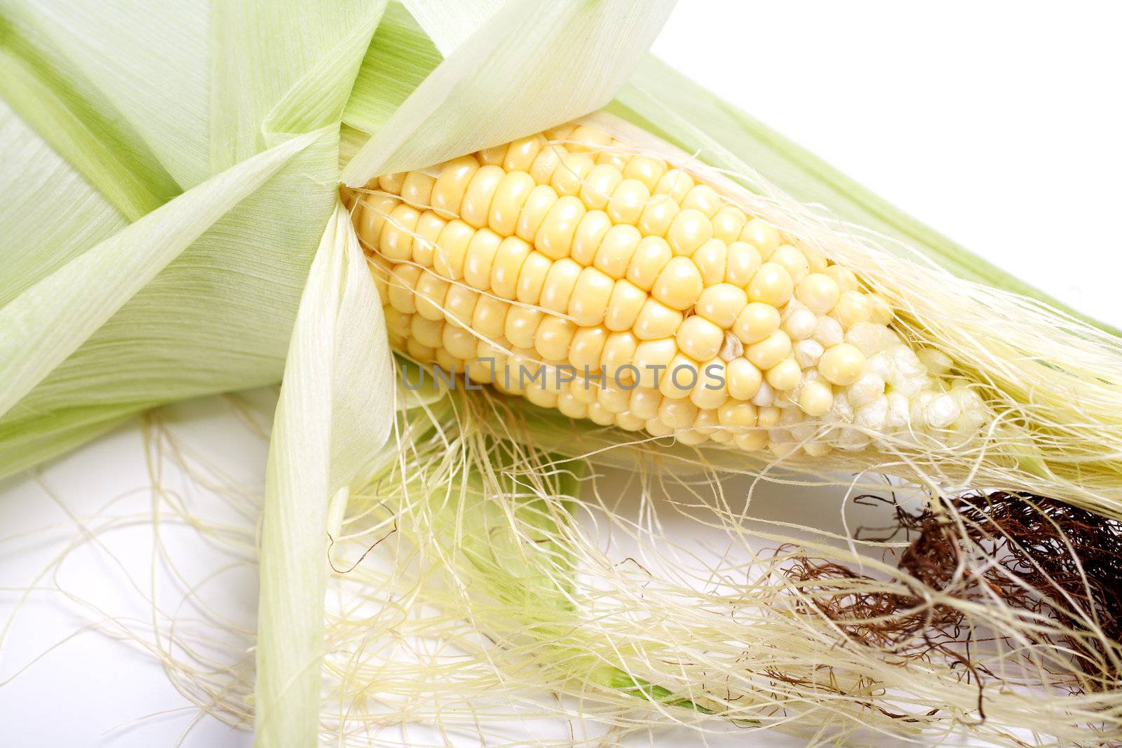 Fresh ripe corn on the cob