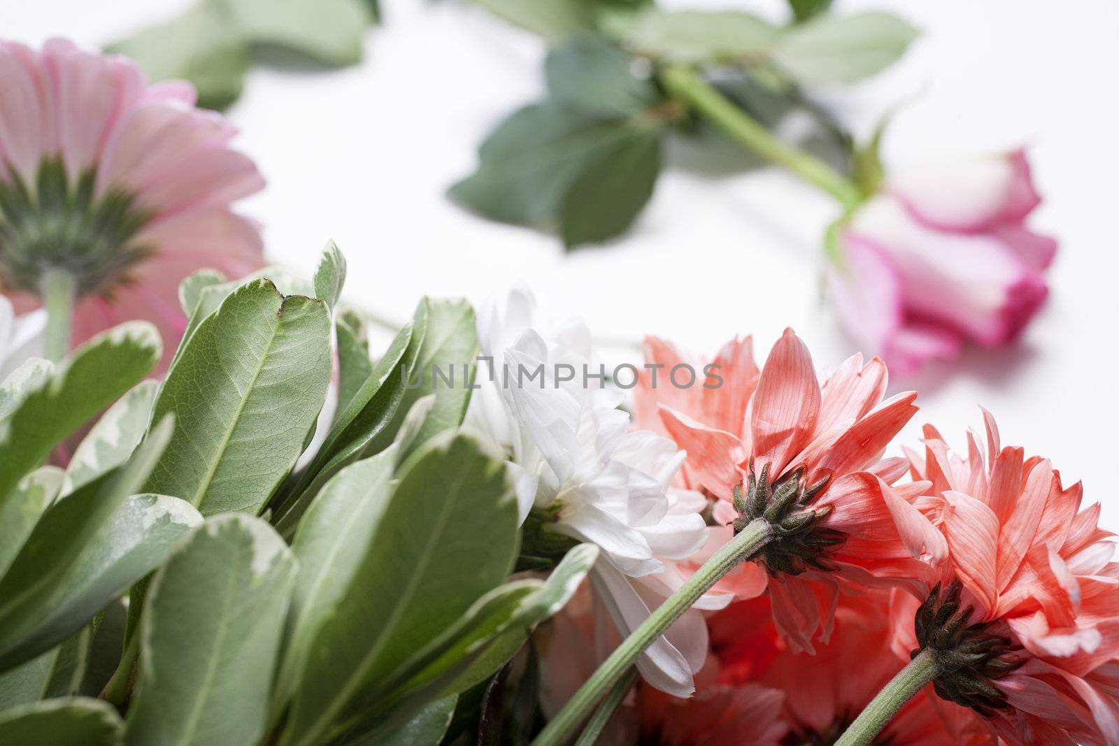 Flower cuttings being prepared to be arranged to make a bouquet.