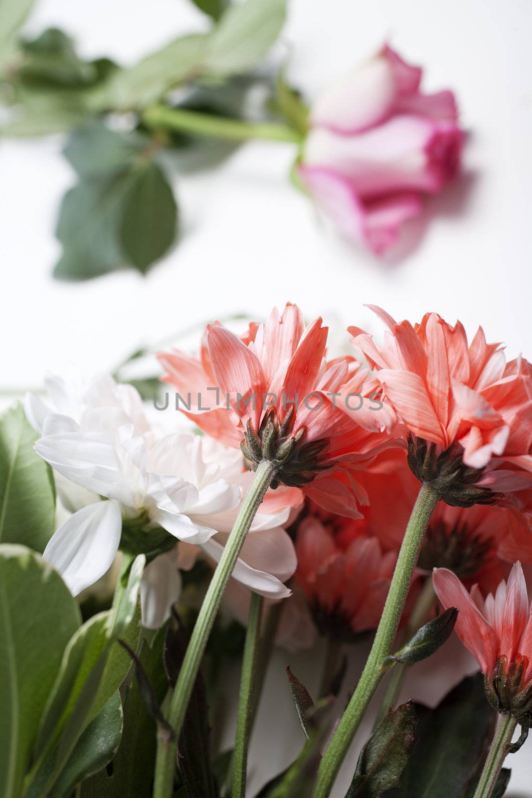 Flower cuttings being prepared to be arranged to make a bouquet.