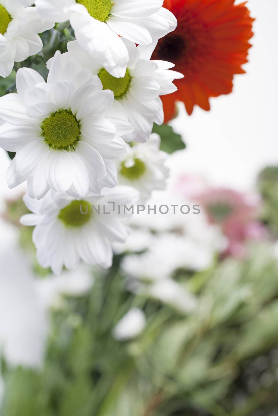 Flower cuttings being prepared to be arranged to make a bouquet.