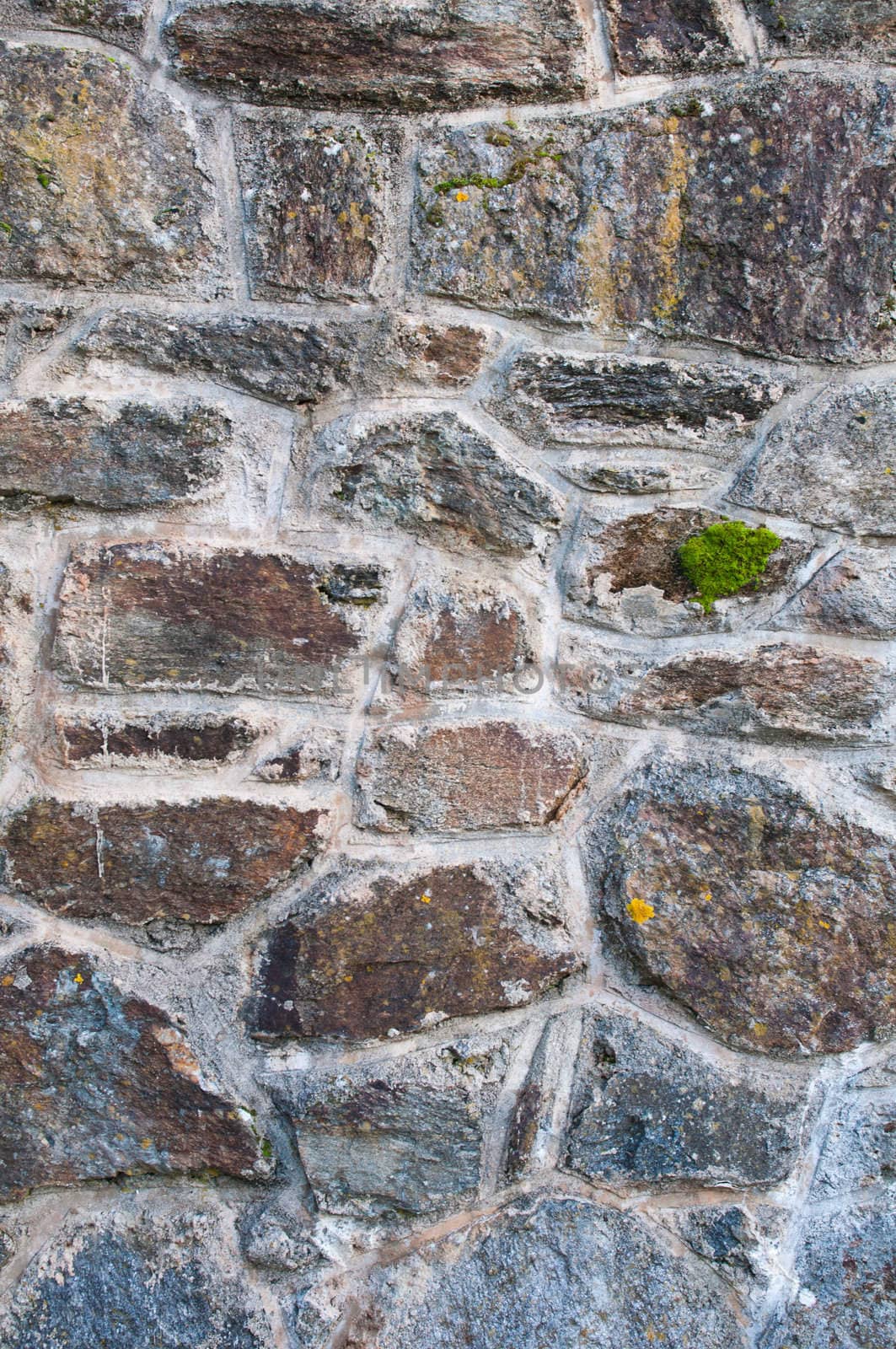 gorgeous unshaped background of a stone wall