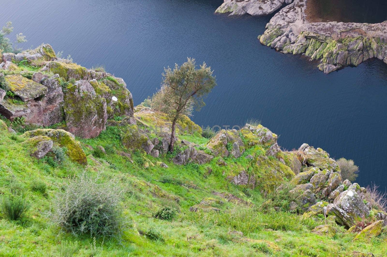 vibrant stones and nature at river Zezere, Tomar (Portugal)