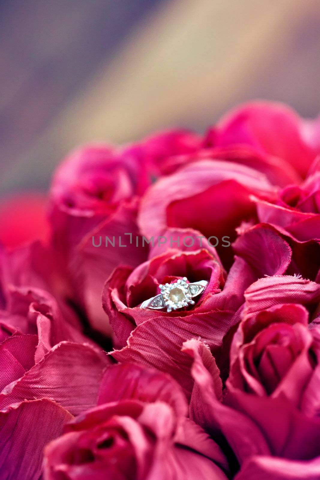 A close up of wedding band , engagement ring