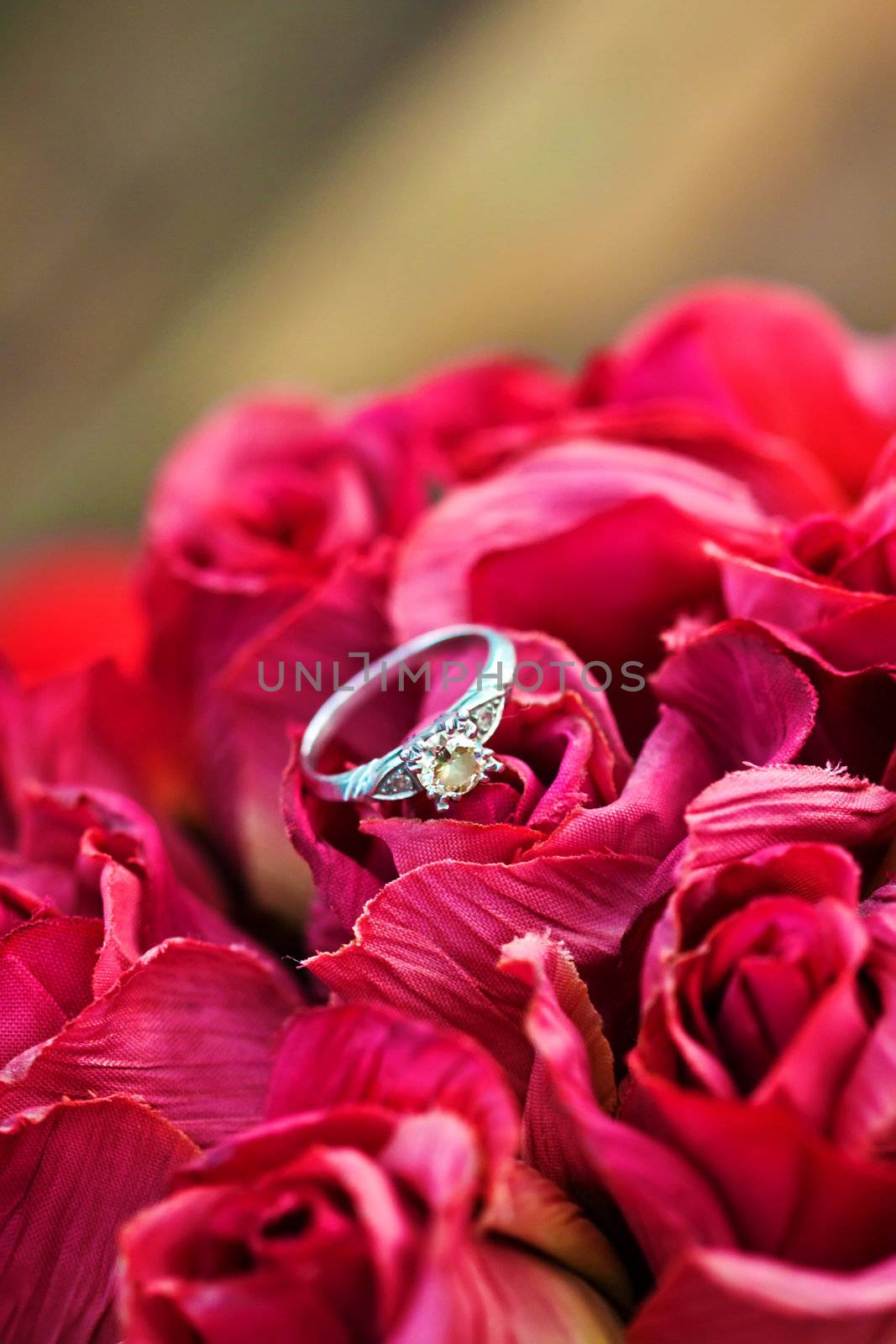 A close up of wedding band , engagement ring