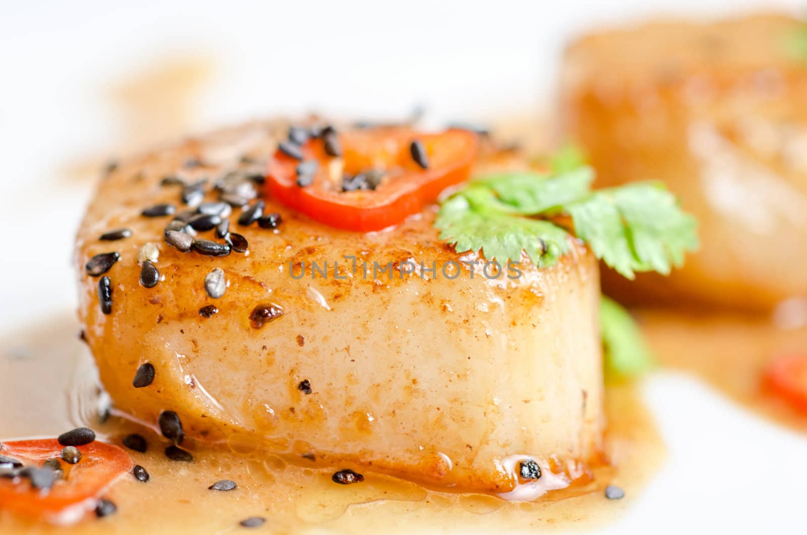 Close up Scallop seafood appetizer with spices