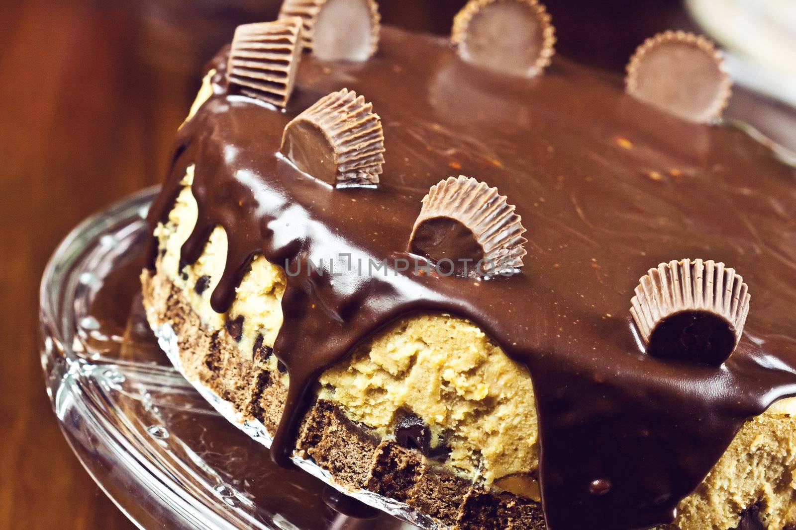 Chocolate cheesecake by oneinamillion
