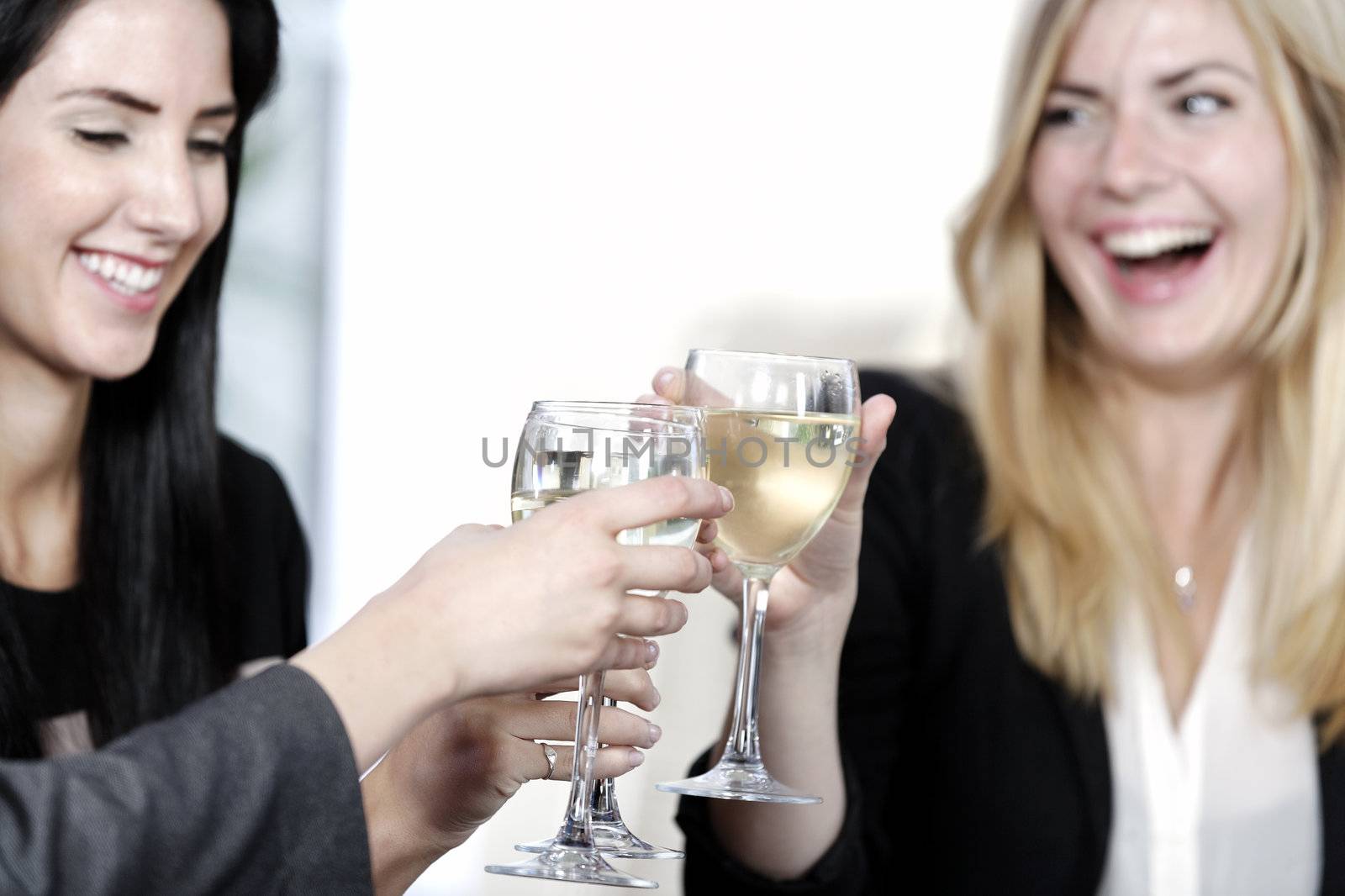 female friends enjoying a drink together at a wine bar.