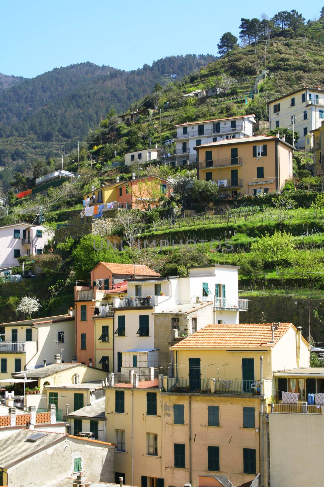 Italy. Cinque Terre. Colorful houses of Riomaggiore village  by oxanatravel