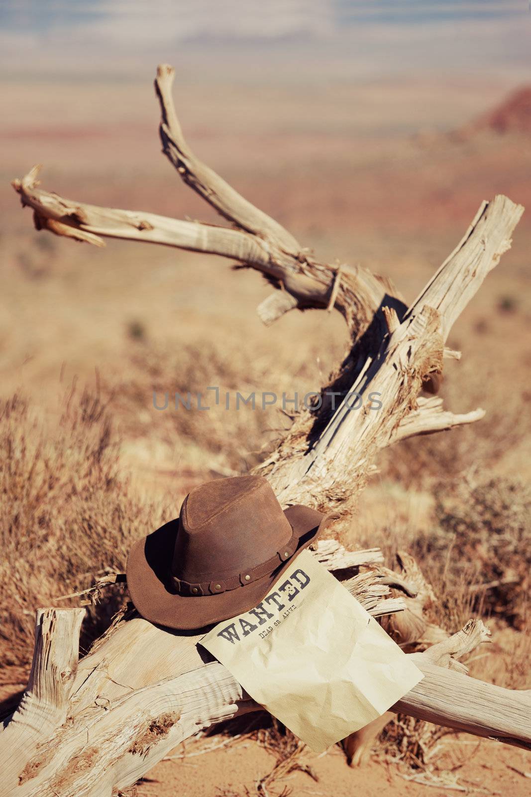 vintage wanted poster and hat on dead wood