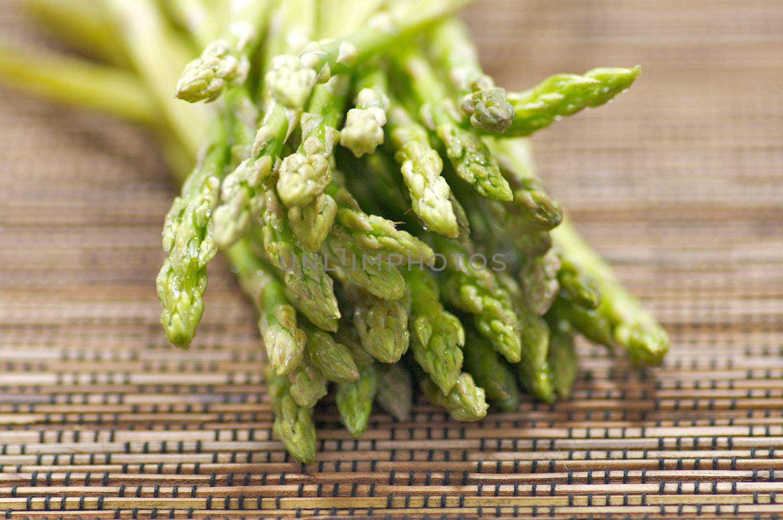 Asparagus sprouts isolated on multi-colired background
