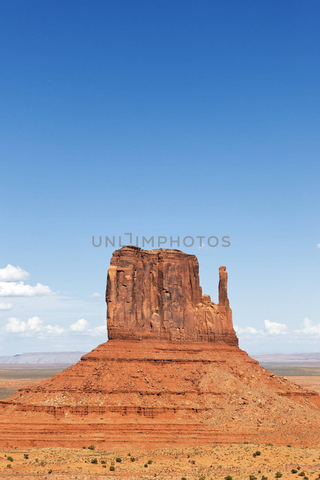 vertical view of famous Monument Valley West Thumb 