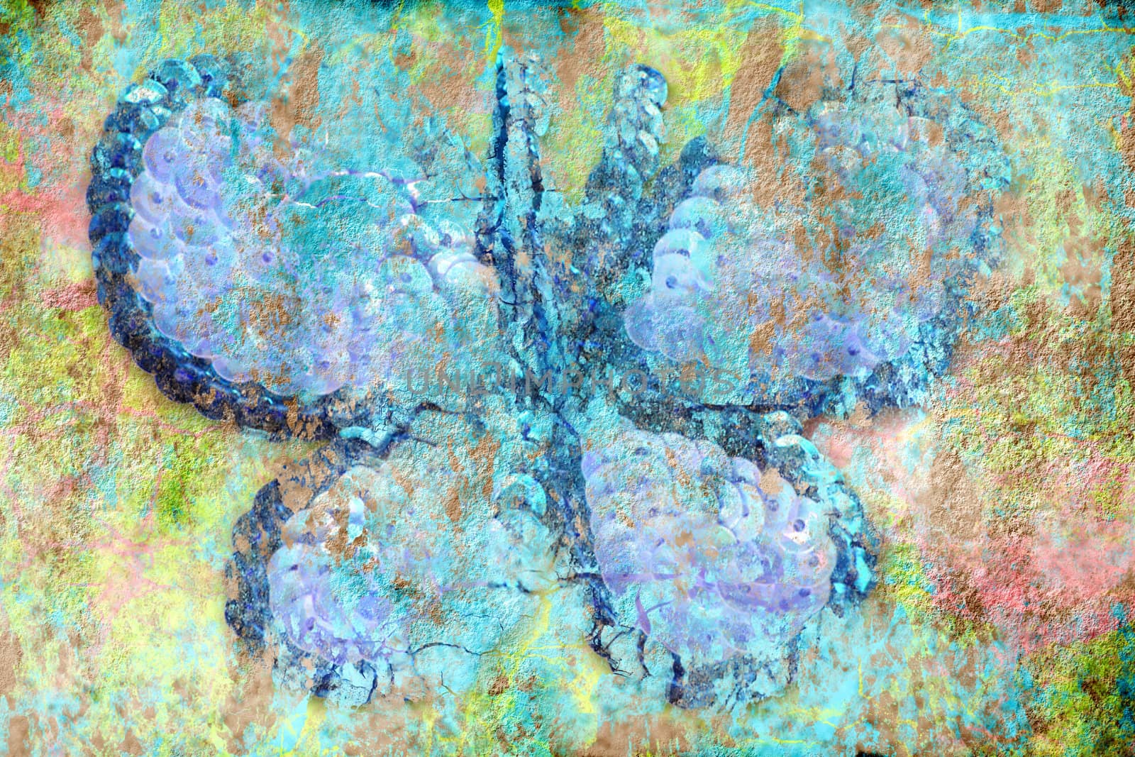 colorful background old grunge butterfly
