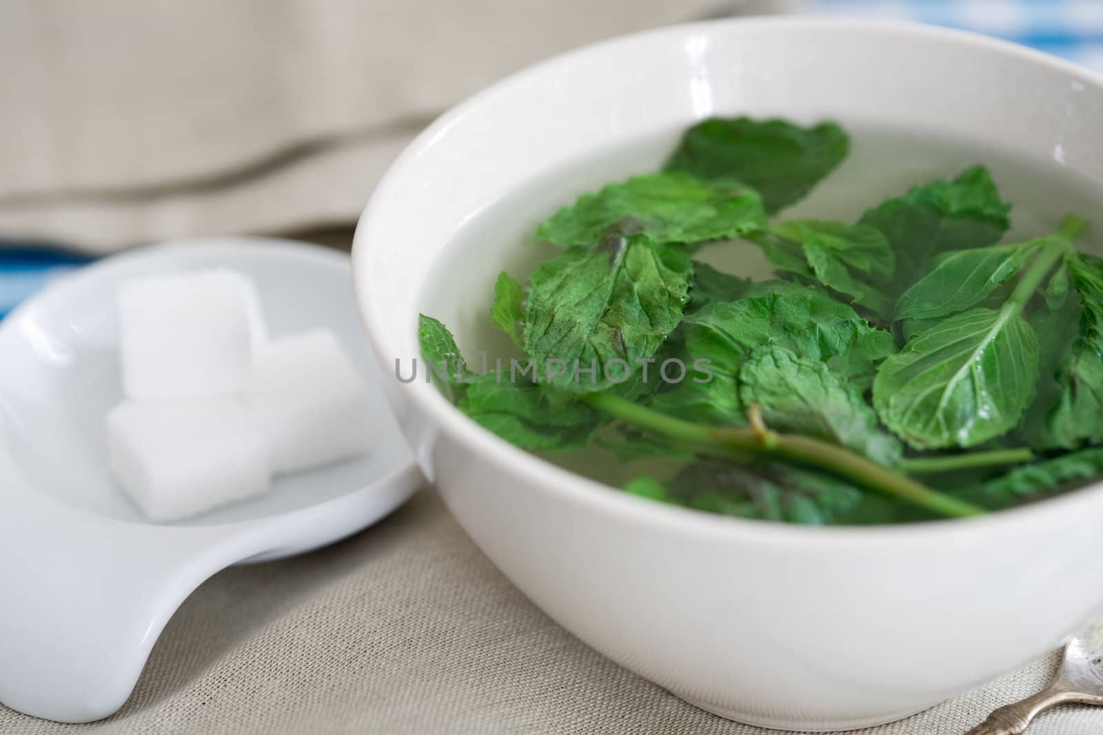 A bowl of tea with freshly picked mint leaves