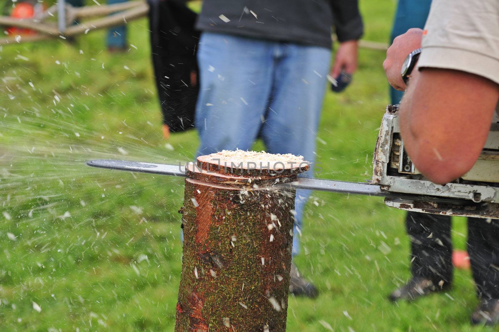 Close up of a logger using a chainsaw to cut slices from a log. Sawdust flying.