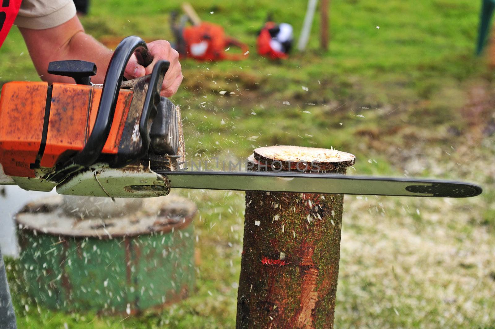 Close up of a logger using a chainsaw to cut slices from a log. Sawdust flying. Space for copy on the background.