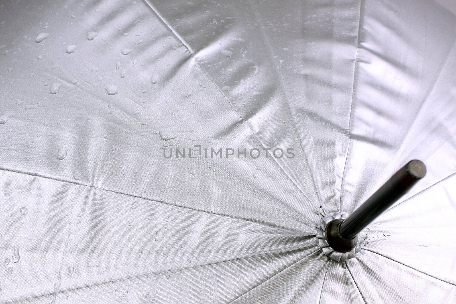 Umbrella by piotrek73