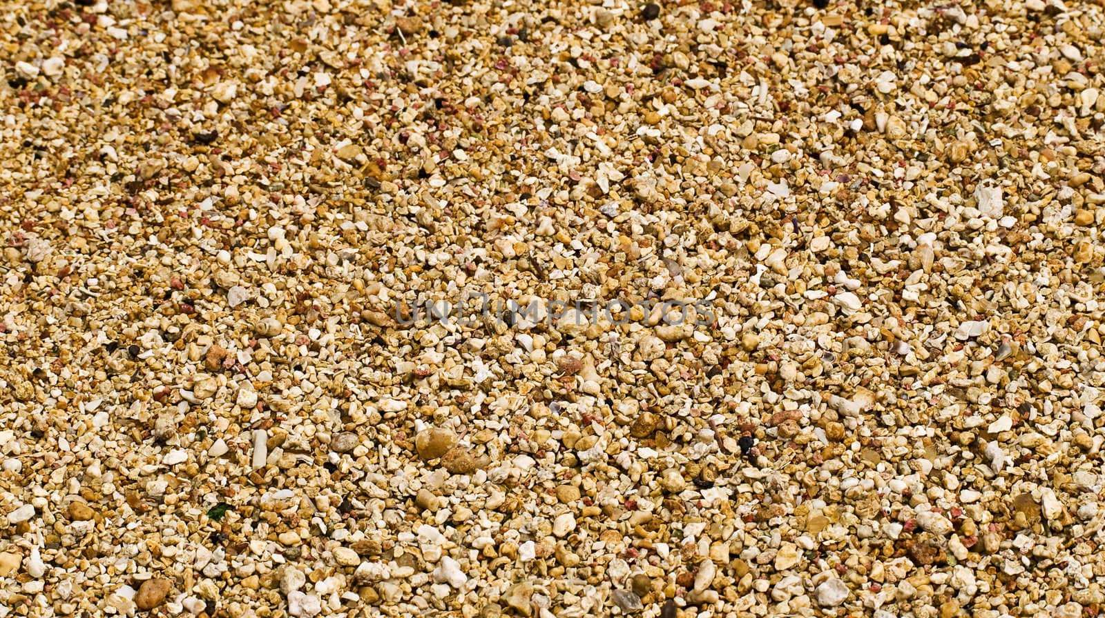 Sand and Pebbles Backdrop by PhotoWorks