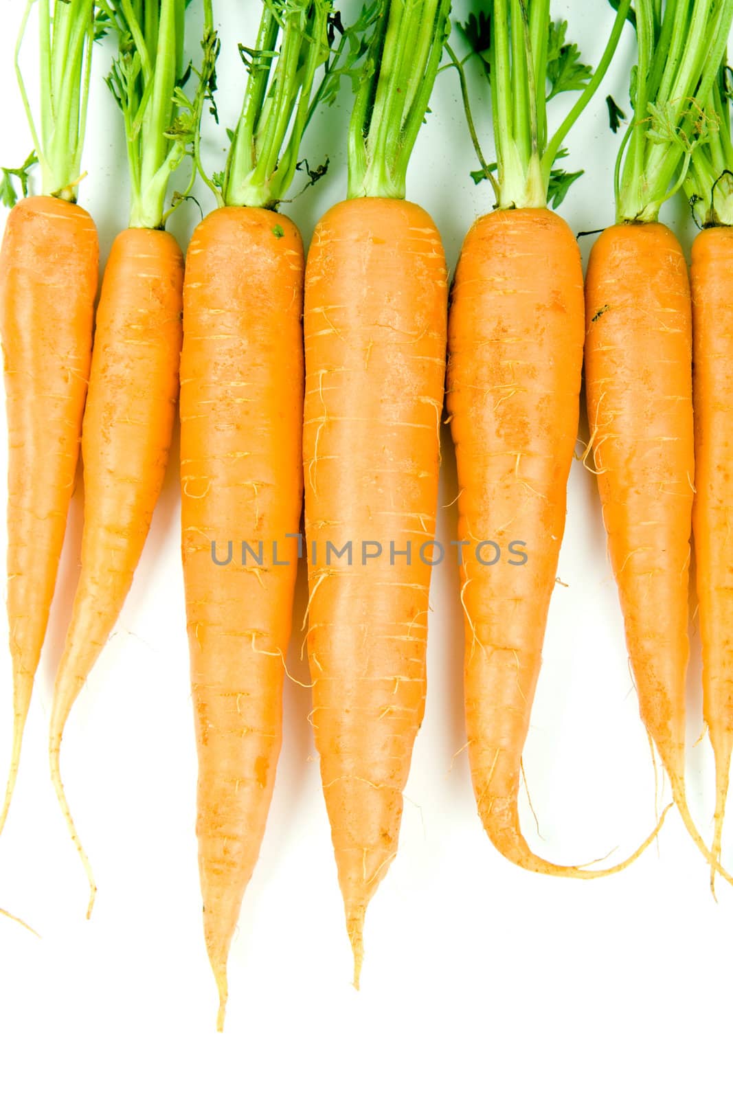 Fresh and ripe bunch of orange carrots isolated on white background
