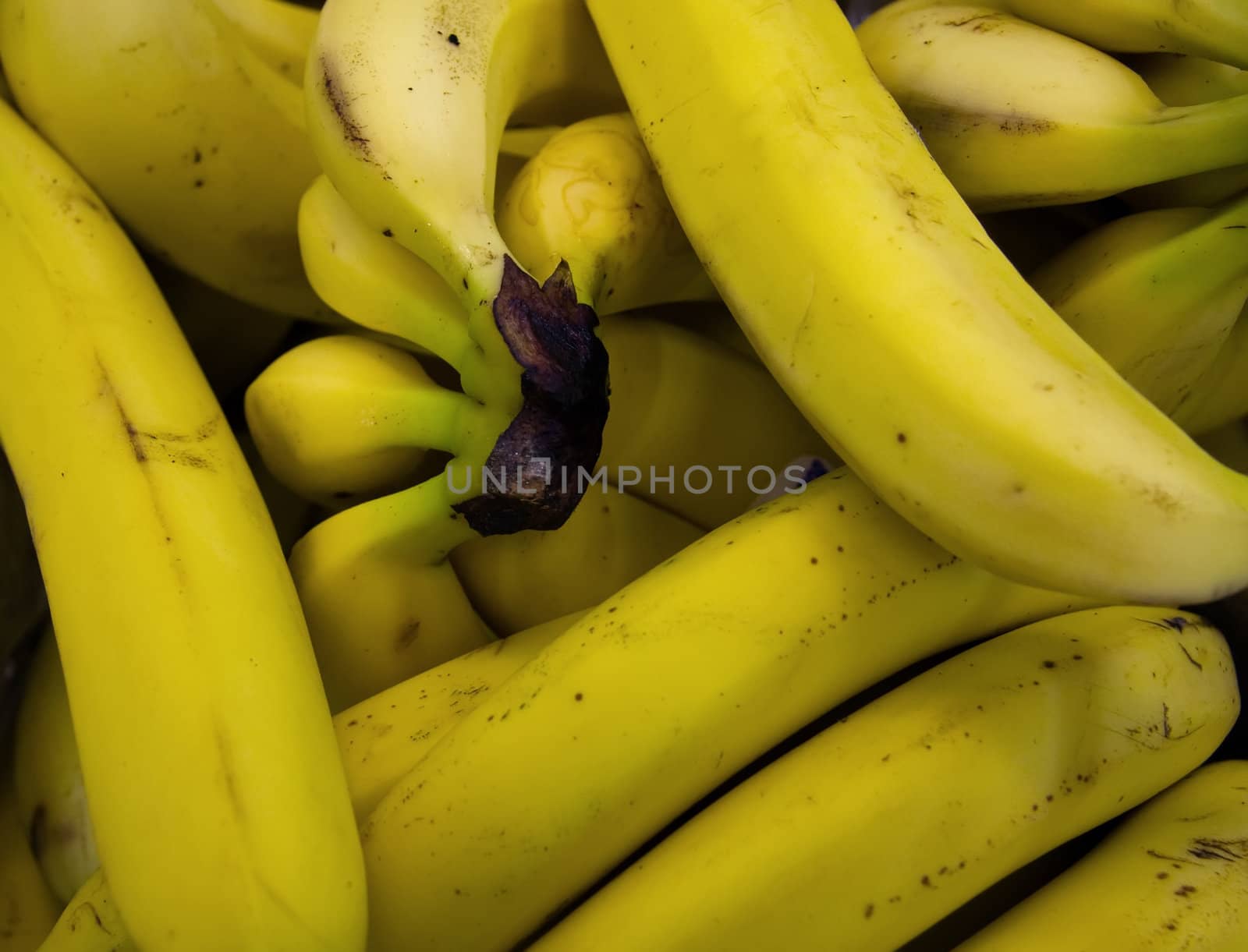 Bunch of yellow bananas.