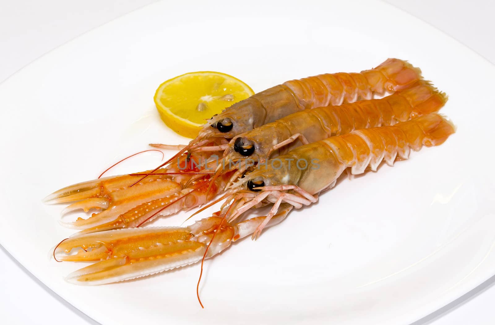 fresh shrimps with lemon on the plate