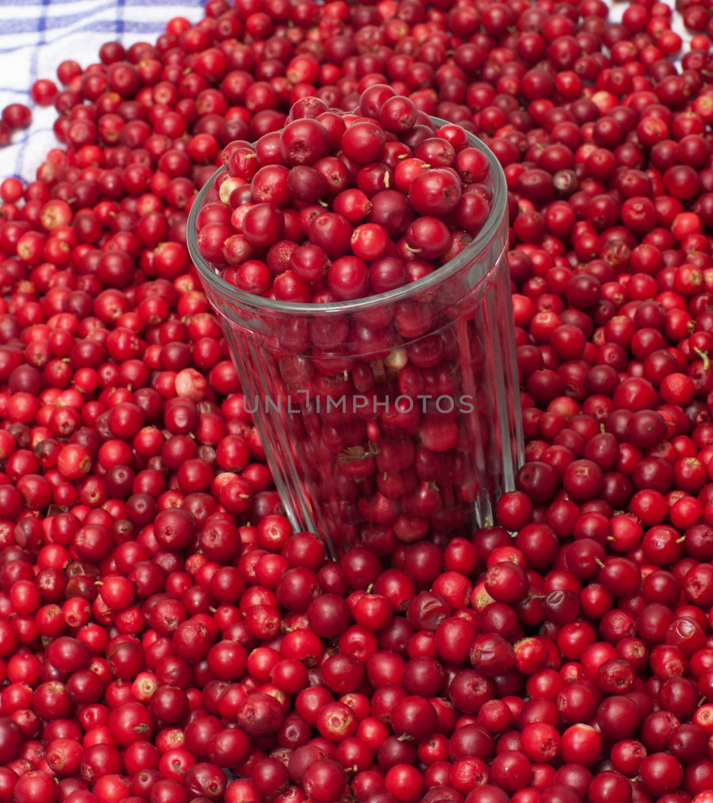 Glass filled with a cowberry close up.