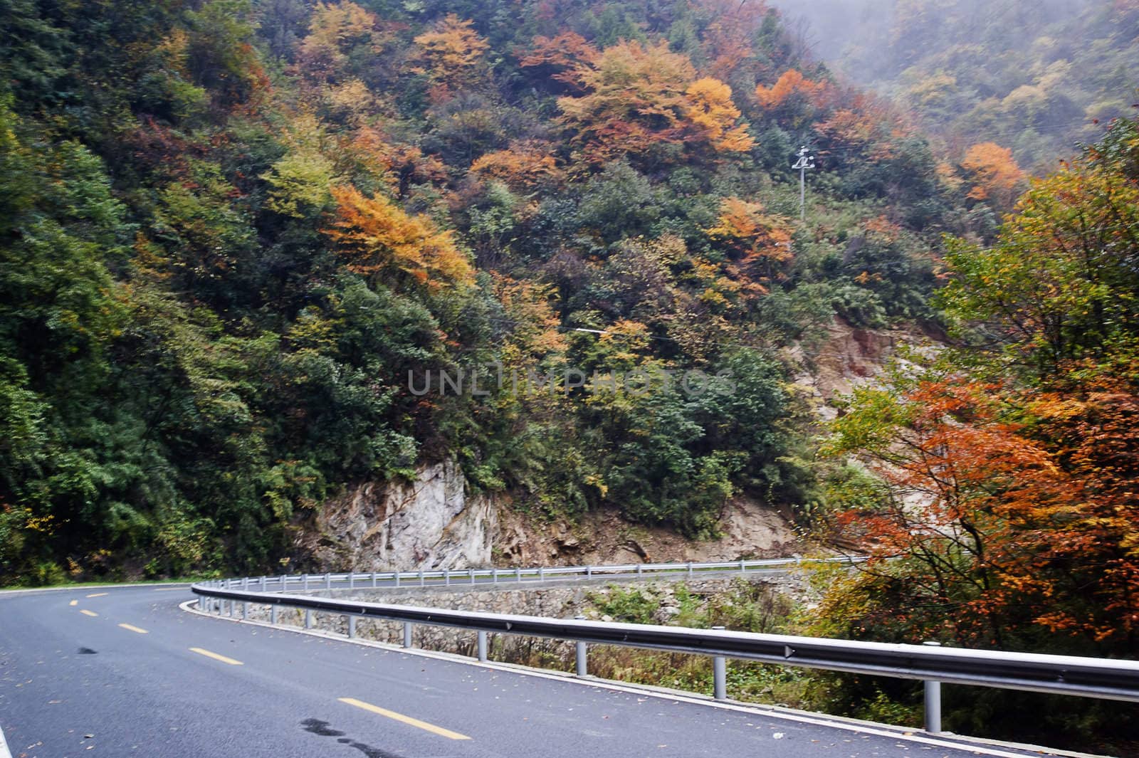 Beautiful autumn landscape in Shennongjia Mountains, Hubei, China by xfdly5