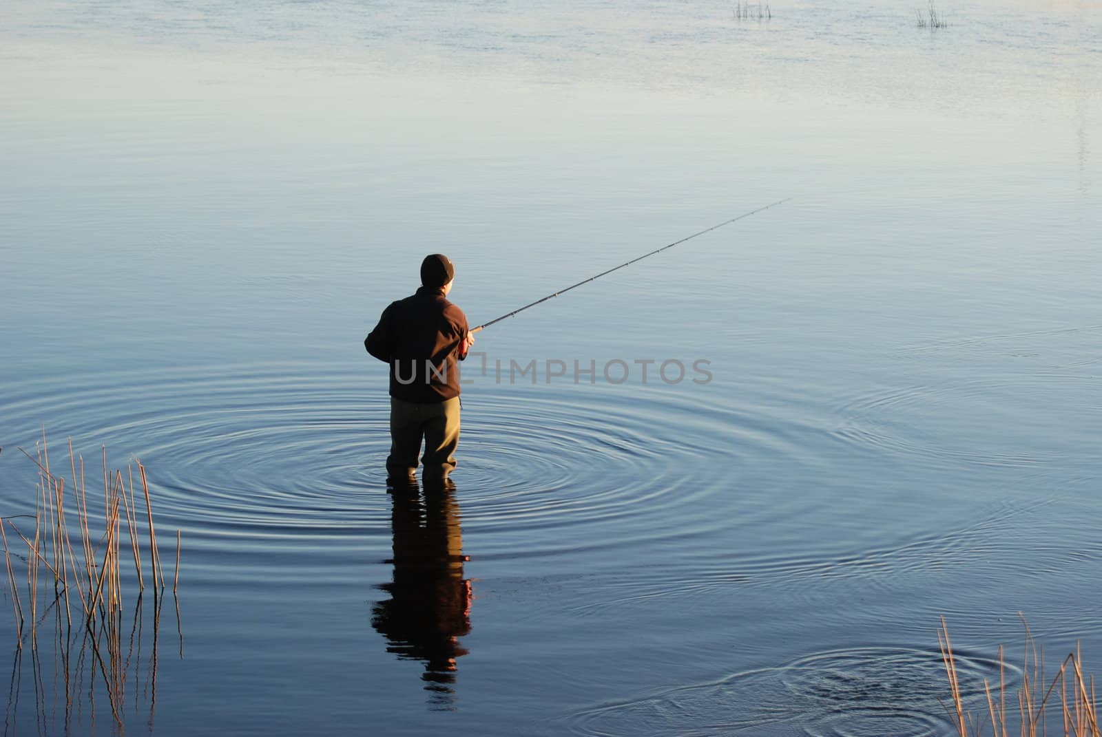 A fisherman in evening light