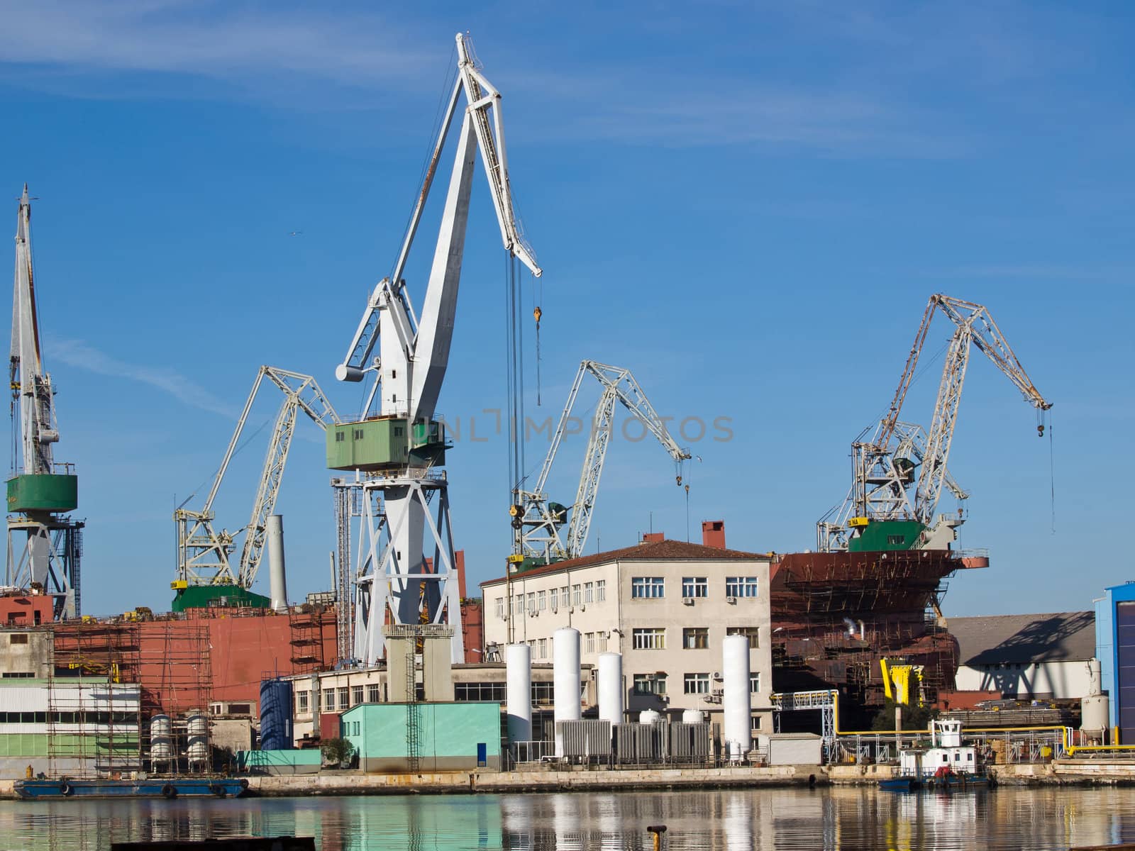 ship and cranes in shipyard