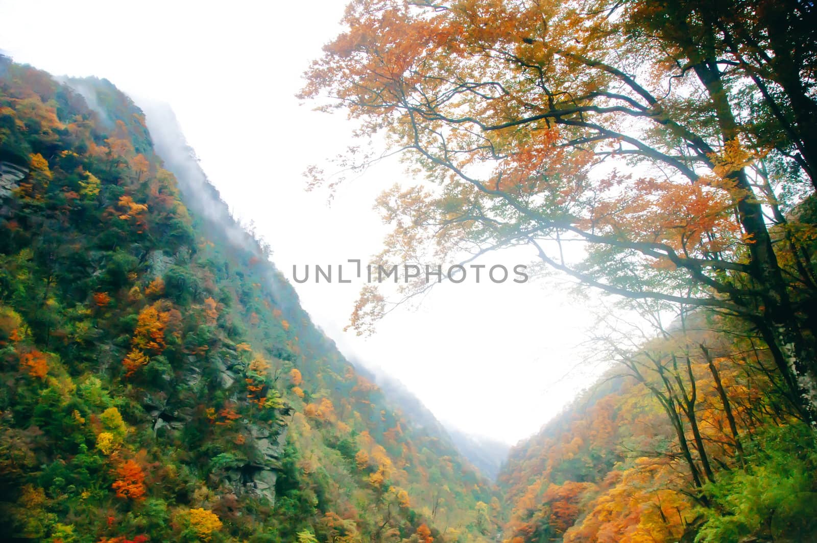 Beautiful autumn landscape in Shennongjia Mountains, Hubei, China by xfdly5