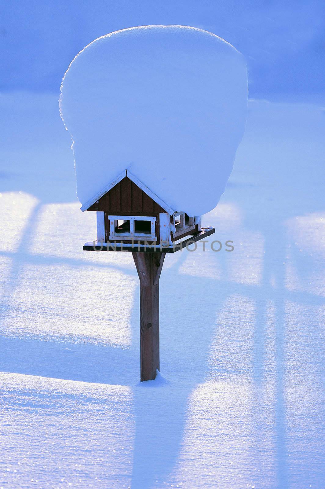 Bird feeders with much snow on the roof