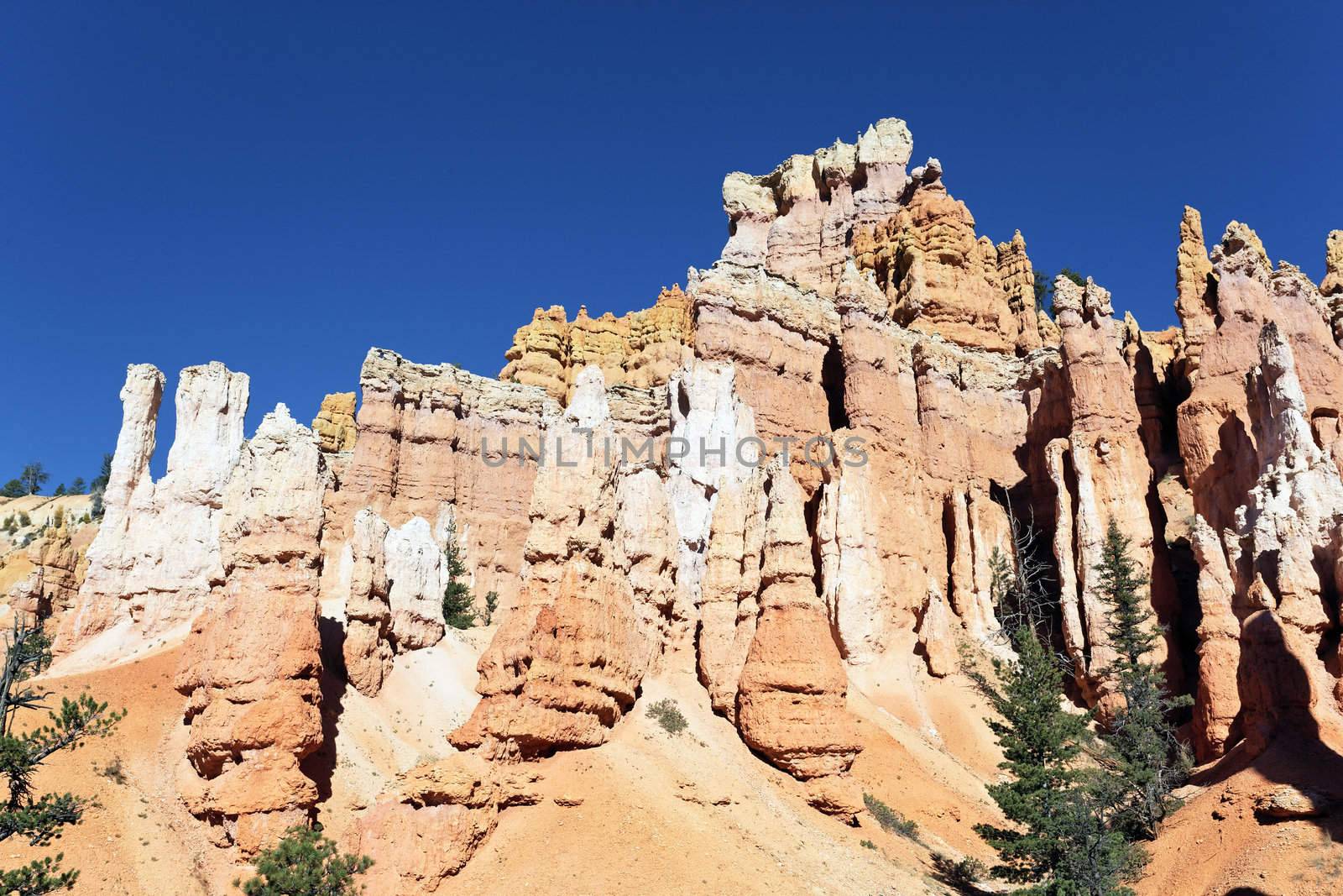 the Navajo Trail in Bryce Canyon, Utah 