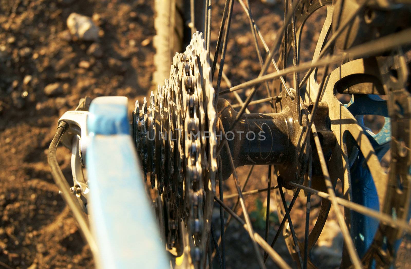 Closeup of a bicycle gear mechanism on the rear wheel