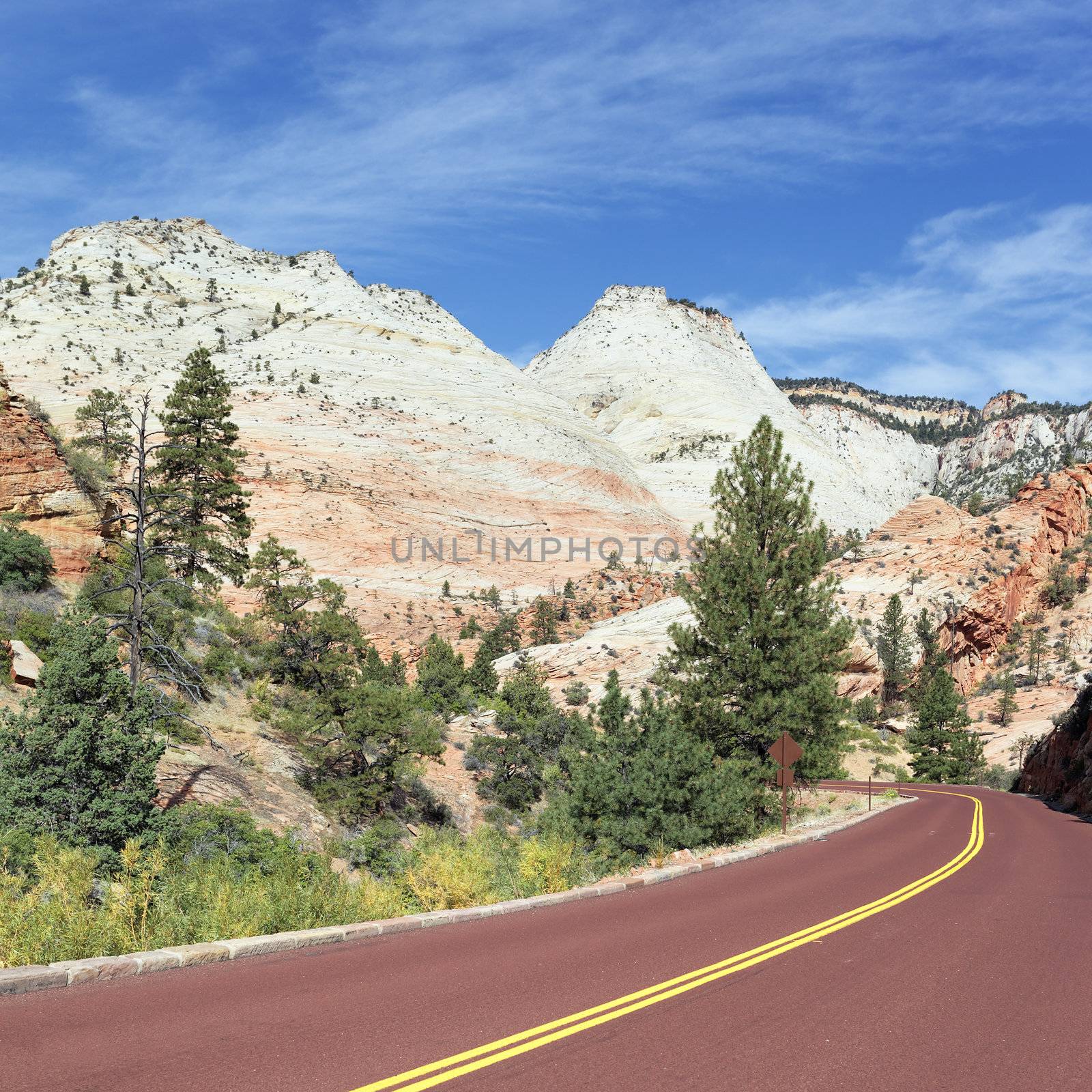 mountain road in Zion National Park in the fall 