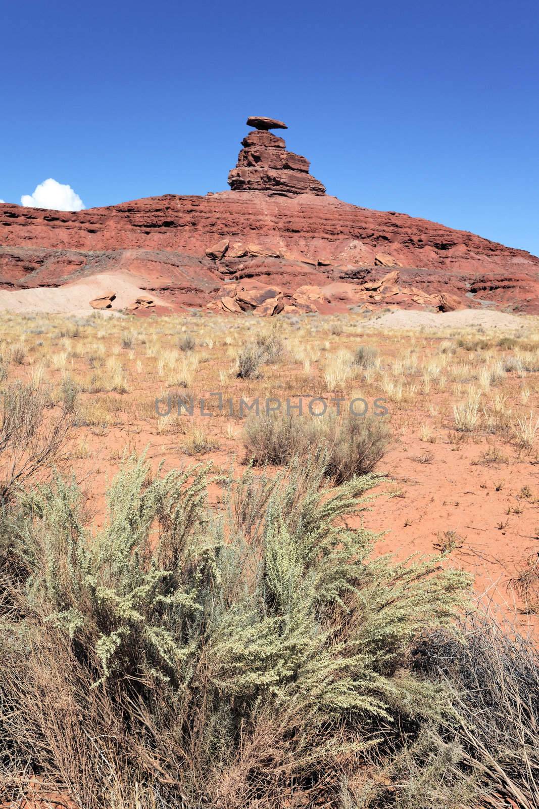 view of the famous mexican hat, USA