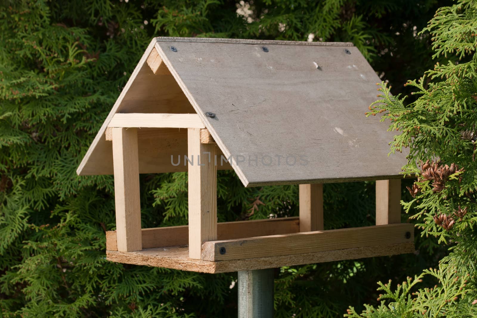 Wooden bird feeder in a garden tree