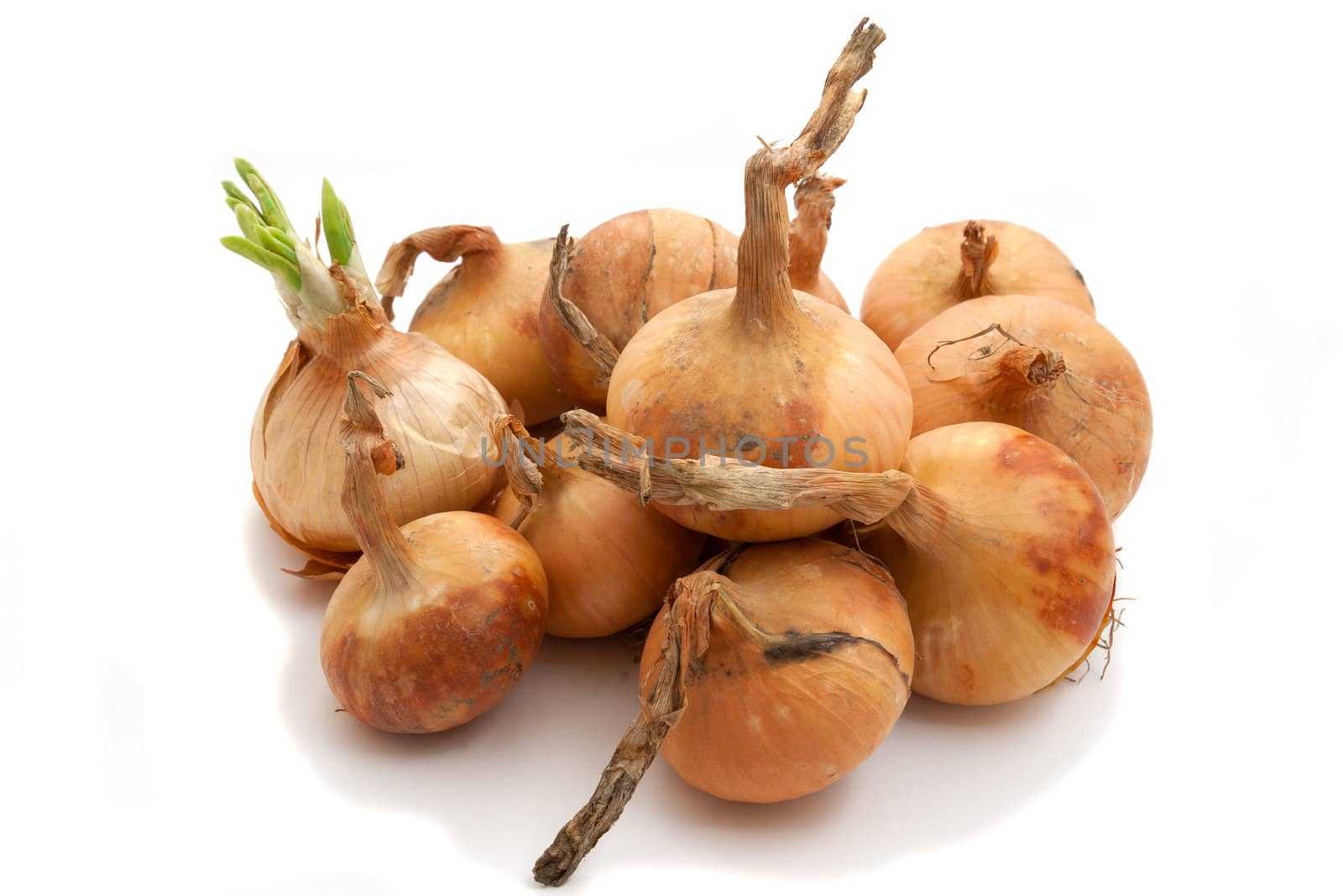 Fresh bulbs of onion on a white background