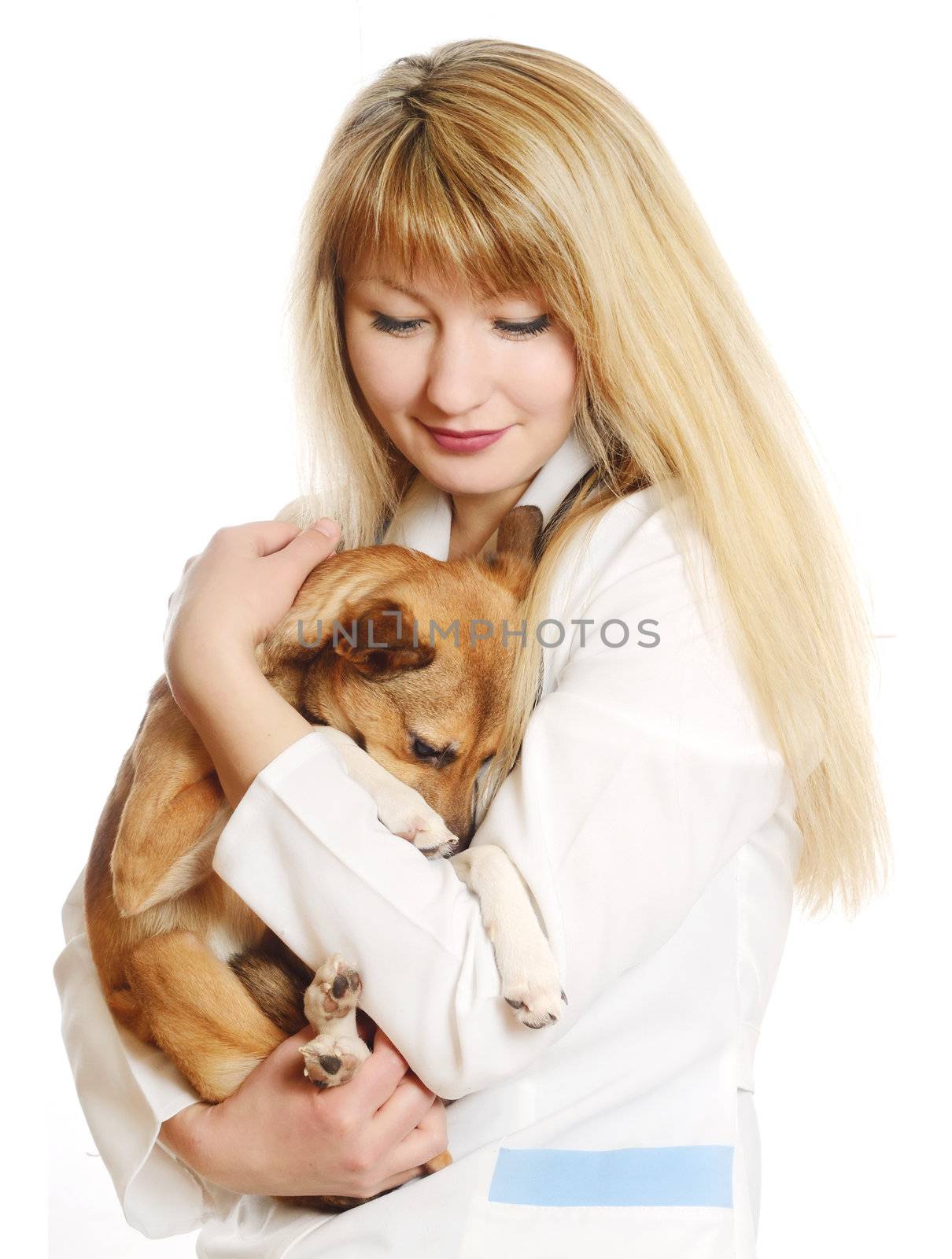 caring veterinarian holding a puppy