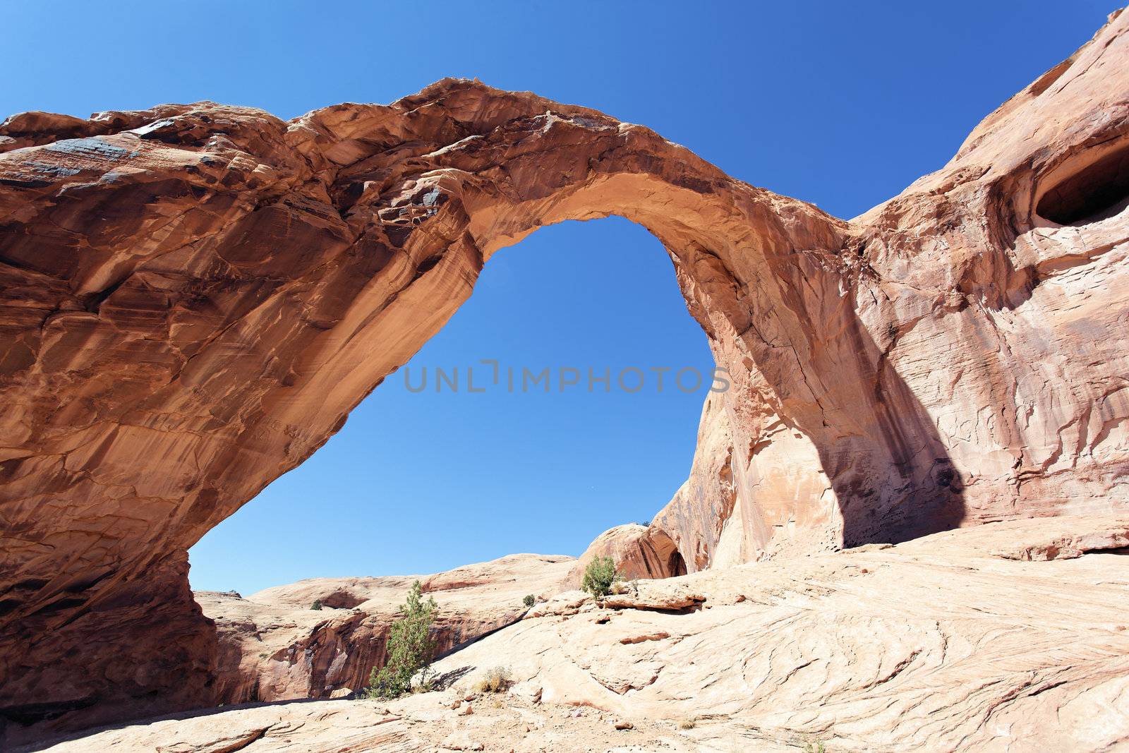 the famous Corona Arch in Southern Utah 