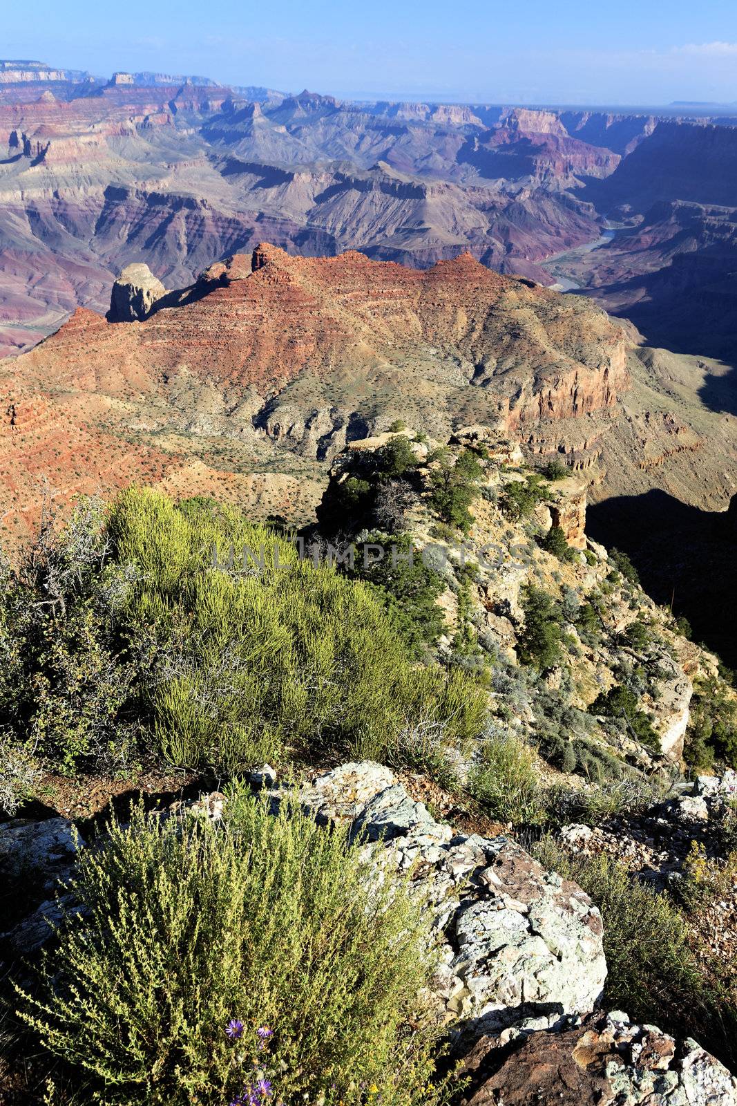 famous Grand Canyon, Arizona, USA