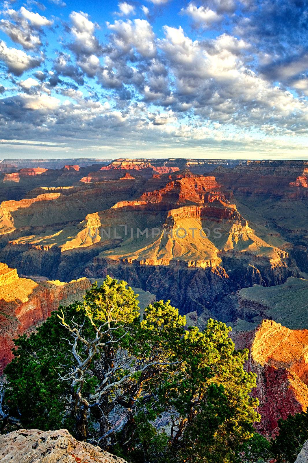 sunrise at Grand Canyon, Arizona, USA