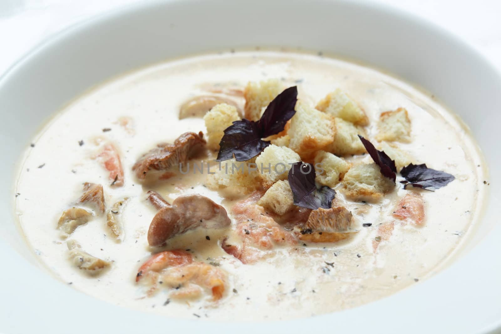 Hot soup in the white dish on wooden table