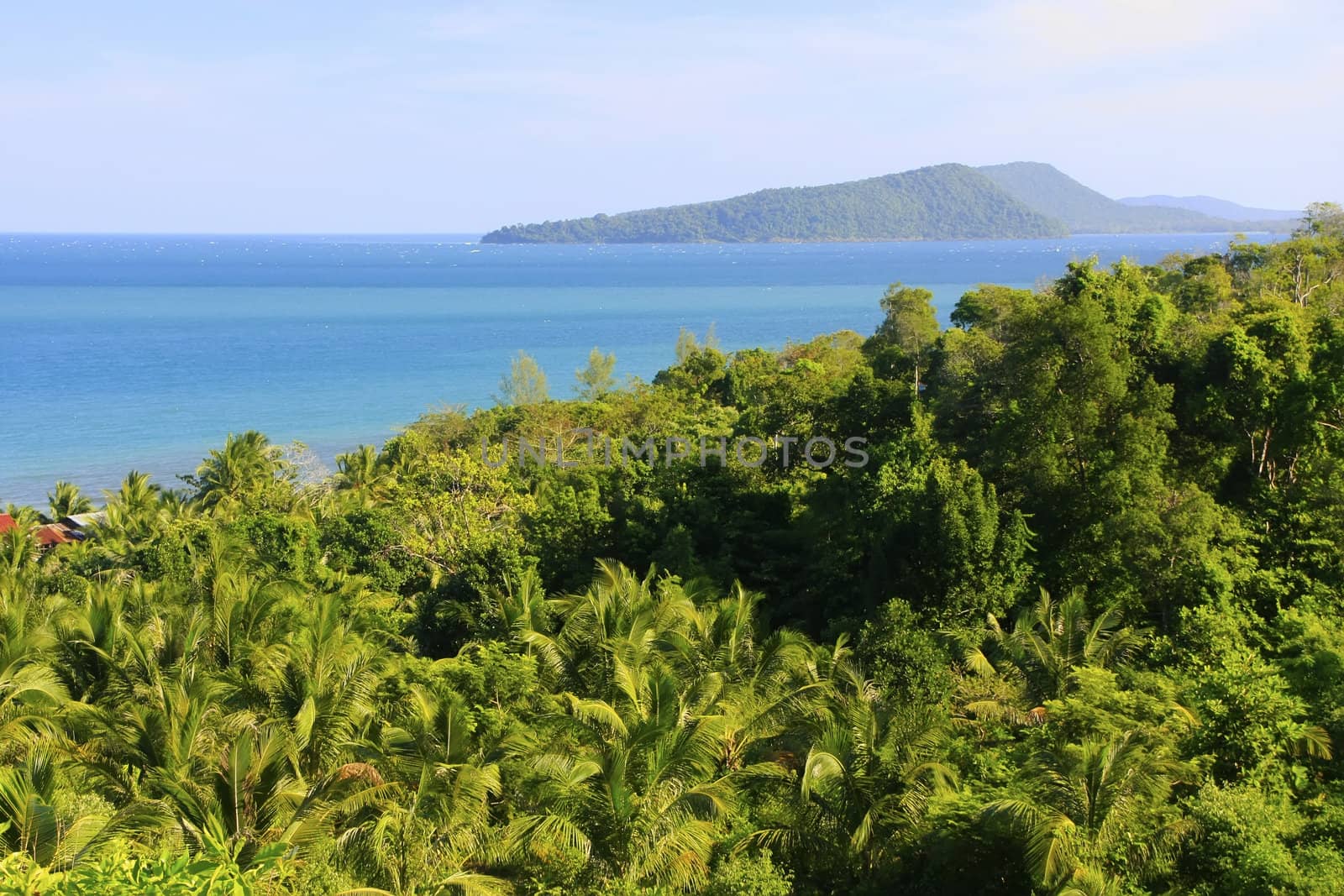 Lush forest of Koh Rong island, Cambodia, Southeast Asia