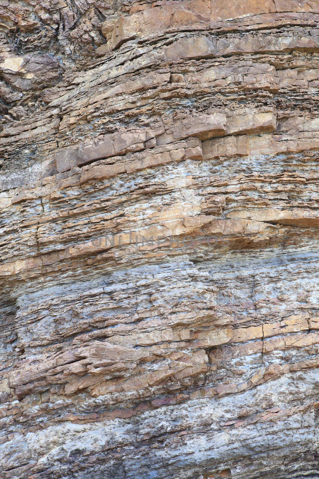 Layered rock on high steep sea bank