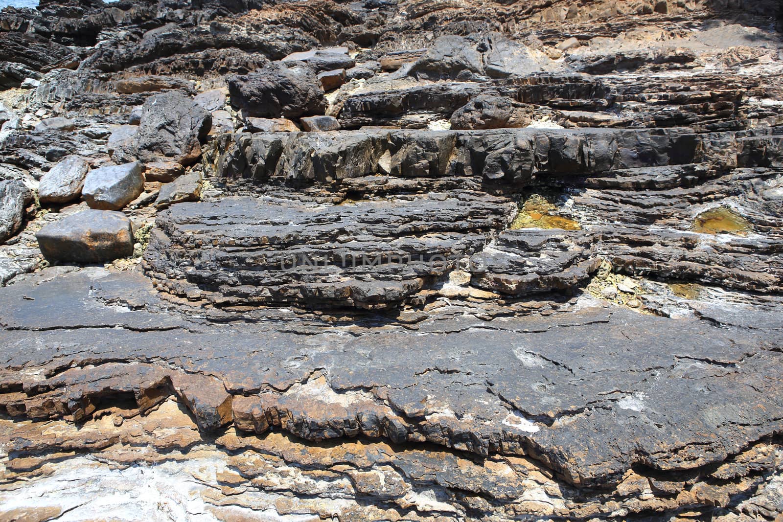 Layered rock on high steep sea bank by rufous
