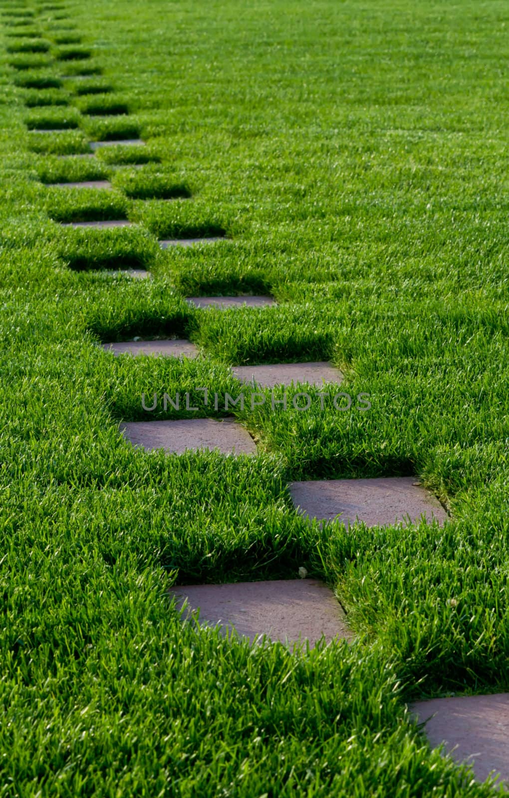 Grass with a stone walkway