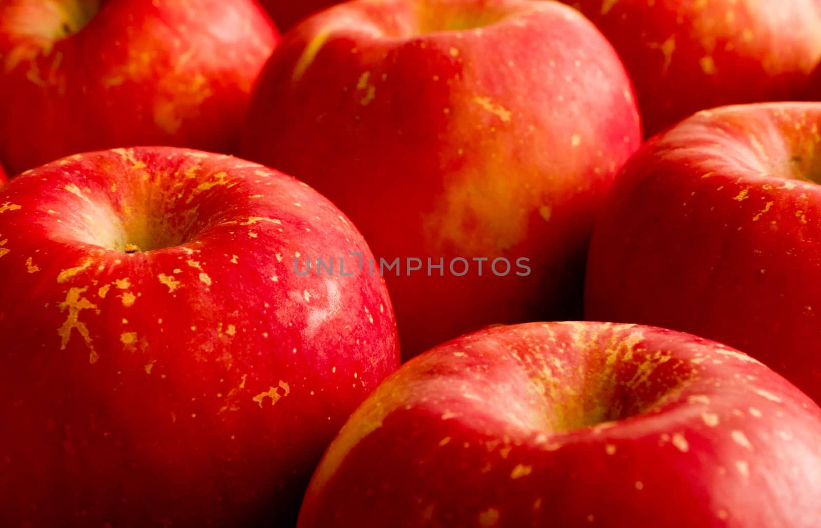 Cluster bright red apples